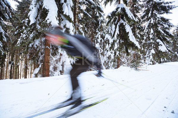 Cross-country skiing: young man cross-country skiing Stock photo © lightpoet