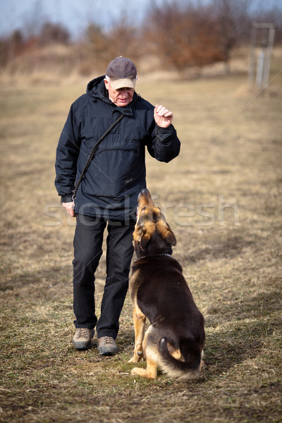 Master gehorsam Schäfer Hund Mann Gesundheit Stock foto © lightpoet