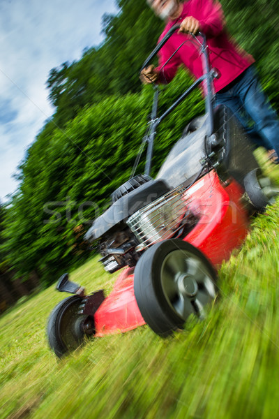 Senior man mowing the lawn in his garden Stock photo © lightpoet