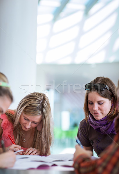 Gruppe Studenten Bremse stellt fest Stock foto © lightpoet