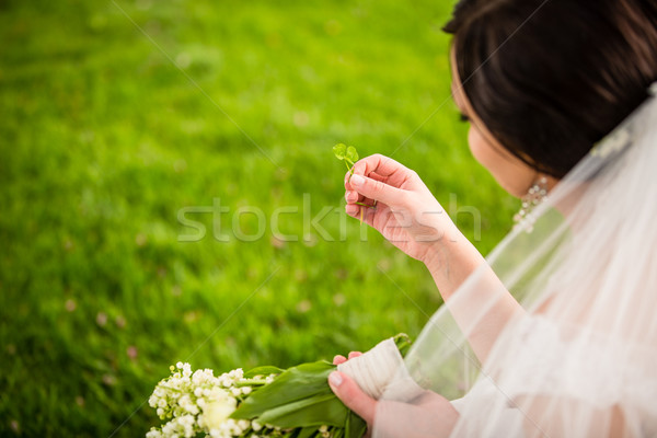 Bride on her wedding day with lucky fortune clover she has just  Stock photo © lightpoet