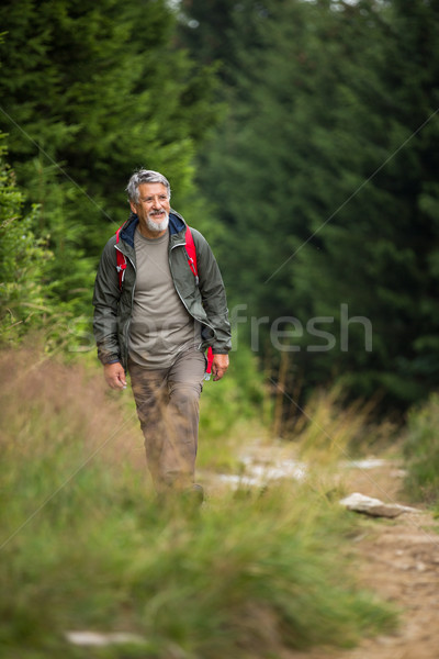 Active senior hiking in high mountains  Stock photo © lightpoet