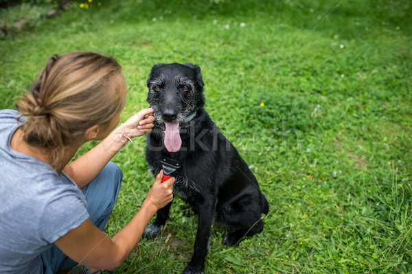 Fiatal nő ki fekete kutya kezek portré Stock fotó © lightpoet