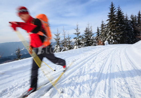 Cross-country skiing: young man cross-country skiing  Stock photo © lightpoet