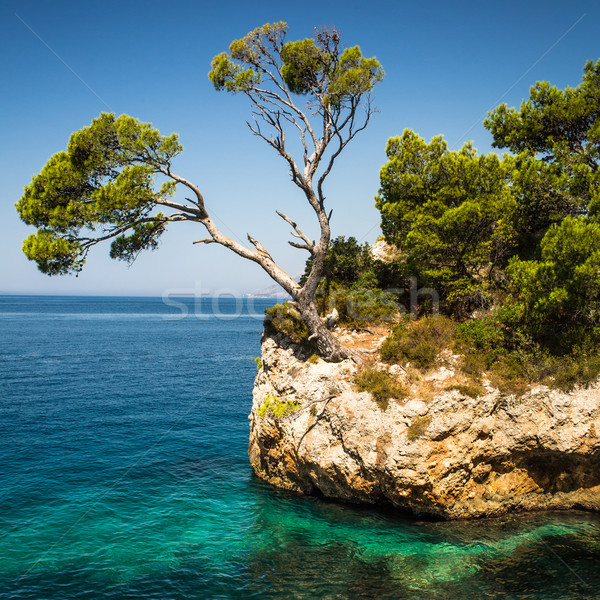 クロアチア 水 家 自然 風景 美 ストックフォト © lightpoet