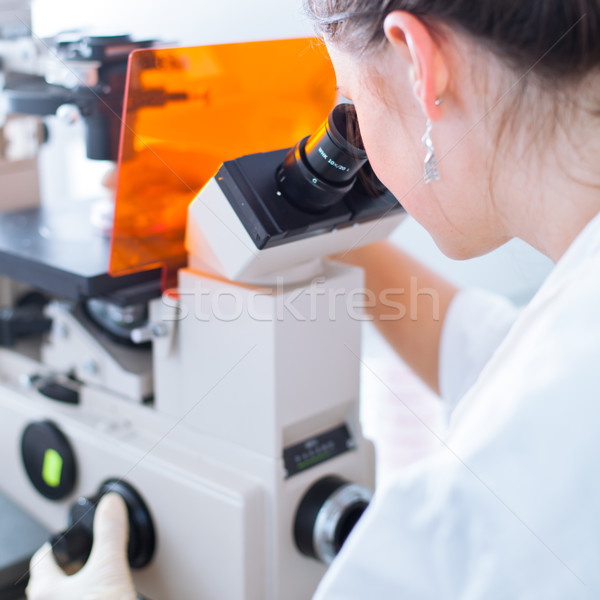 Foto stock: Retrato · femenino · investigador · investigación · laboratorio · microscopio