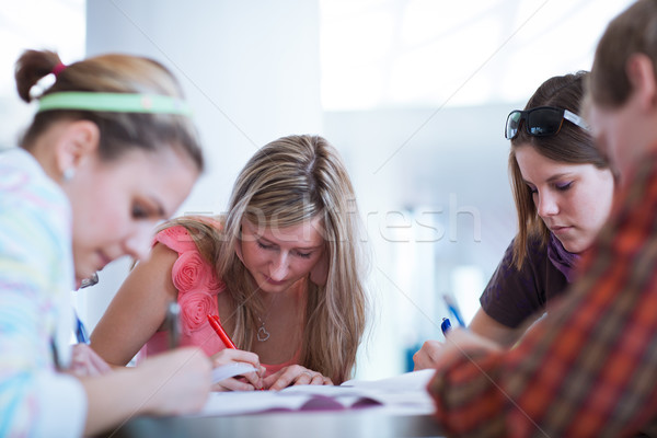 Csoport diákok fék beszélget jegyzetek szórakozás Stock fotó © lightpoet