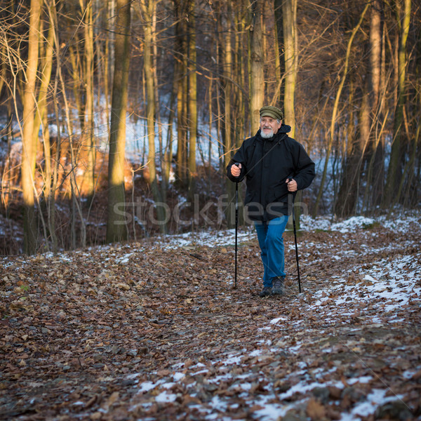 Senior man nordic walking, enjoying the outdoors Stock photo © lightpoet