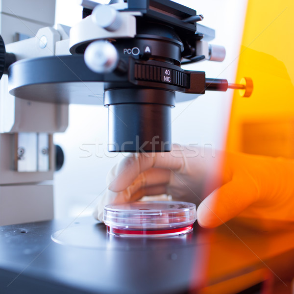 Modern microscop laborator femeie şcoală muncă Imagine de stoc © lightpoet