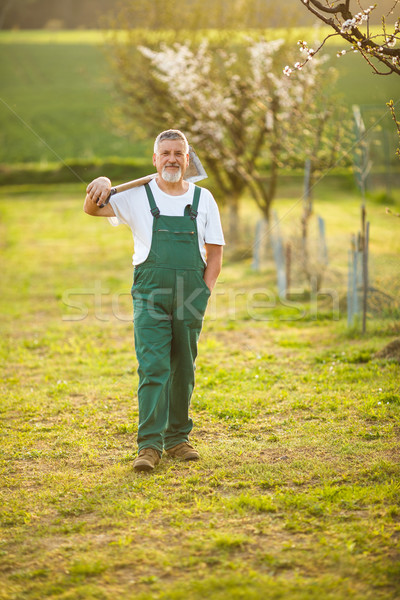 Portret frumos senior om grădinărit grădină Imagine de stoc © lightpoet