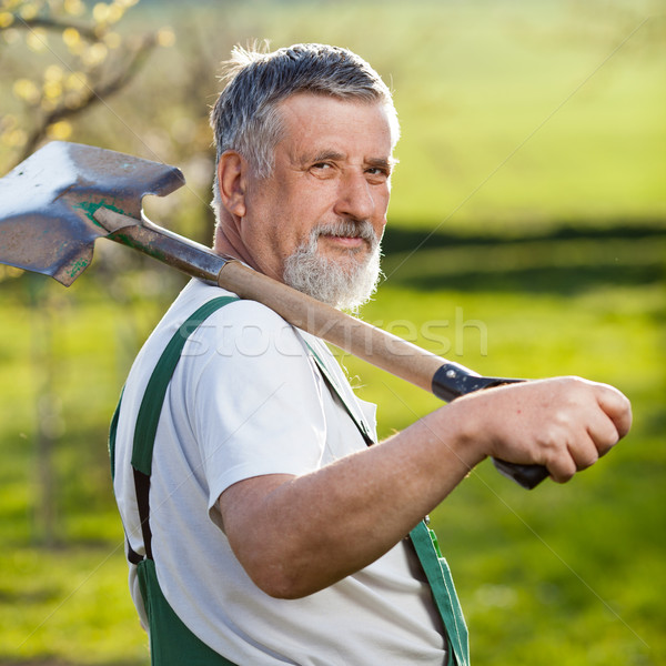 Portret senior om grădinărit grădină culoare Imagine de stoc © lightpoet