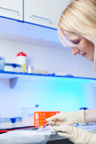 Stockfoto: Portret · vrouwelijke · onderzoeker · onderzoek · lab · kleur