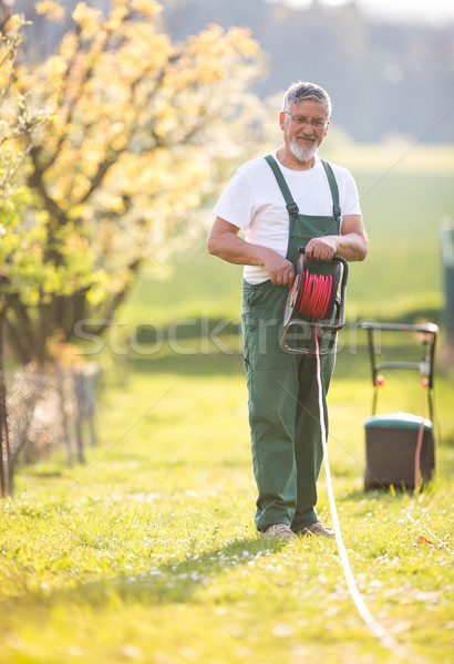 Senior man mowing the lawn in his garden  Stock photo © lightpoet