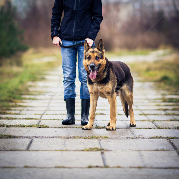 Master and her obedient  dog Stock photo © lightpoet