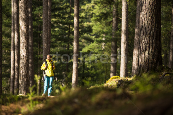 Pretty, young female hiker walking through a splendid old pine forest Stock photo © lightpoet