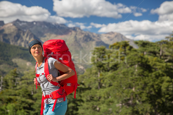 Pretty, female hiker in high mountains  Stock photo © lightpoet