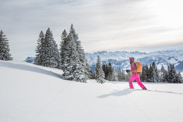 Joli jeune femme élevé montagnes hiver [[stock_photo]] © lightpoet