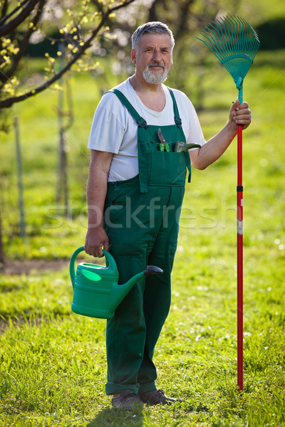Stock fotó: Portré · idős · férfi · kertészkedés · kert · szín