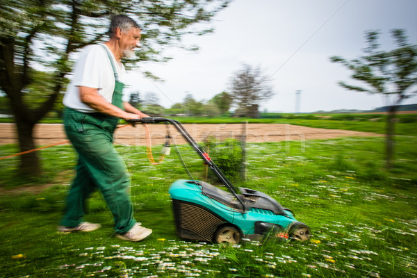 portrait of a senior man gardening in his garden Stock photo © lightpoet