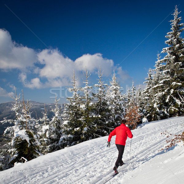 Cross-country skiing: young man cross-country skiing on a lovely Stock photo © lightpoet