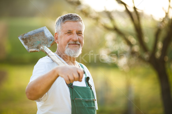 Portret frumos senior om grădinărit grădină Imagine de stoc © lightpoet