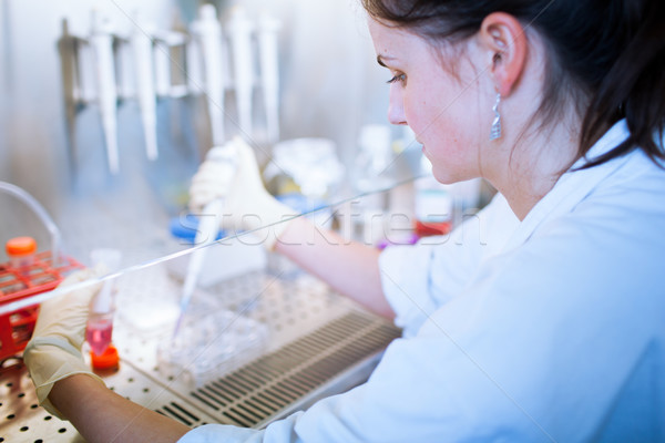 portrait of a female researcher doing research in lab  Stock photo © lightpoet