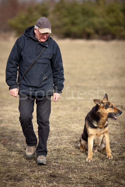 Master and his obedient (German Shepherd) dog Stock photo © lightpoet
