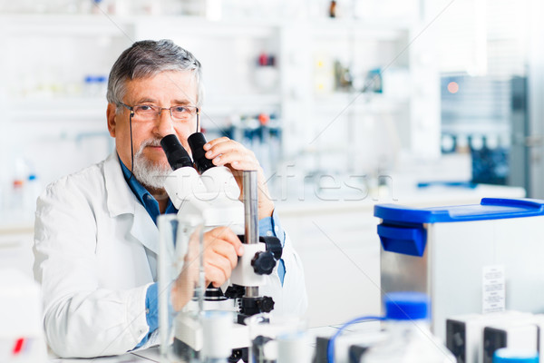senior male researcher carrying out scientific research in a lab Stock photo © lightpoet