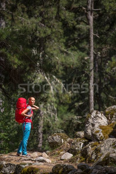 Pretty, young female hiker walking through a splendid old pine forest Stock photo © lightpoet