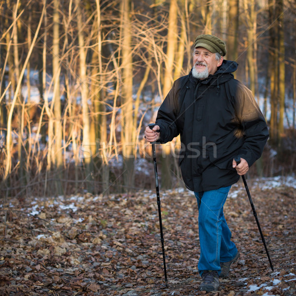 Stock photo: Senior man nordic walking, enjoying the outdoors, the fresh air,