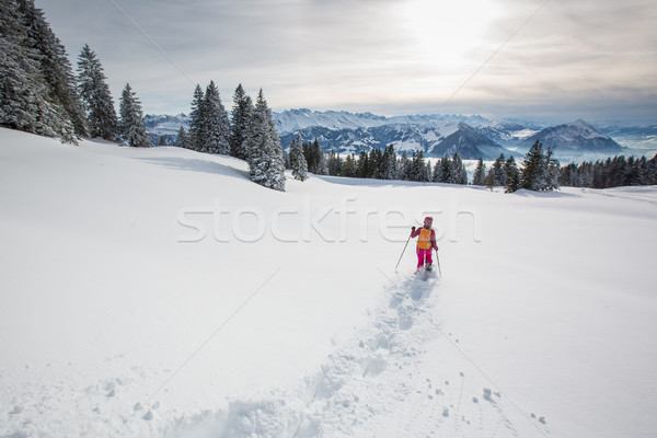Pretty, young woman snowshoeing in high mountains Stock photo © lightpoet