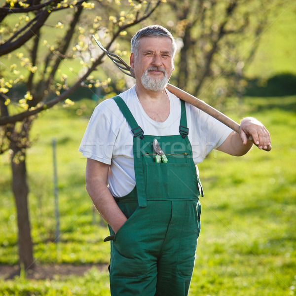 Portré idős férfi kertészkedés kert szín Stock fotó © lightpoet