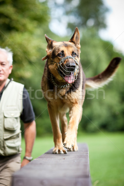 Master and his obedient  dog at a dog training  center Stock photo © lightpoet