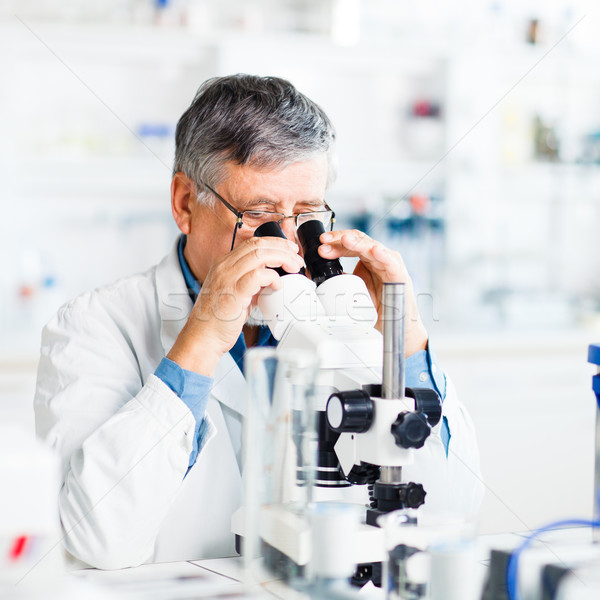 senior male researcher carrying out scientific research in a lab Stock photo © lightpoet