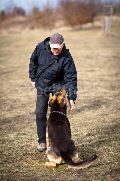 Maestro pastore cane uomo salute Foto d'archivio © lightpoet
