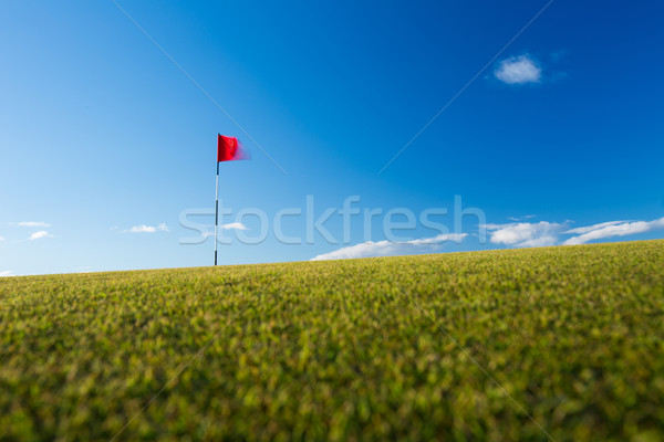 Red golf flag on a golf course, moving in the wind (motion blurr Stock photo © lightpoet