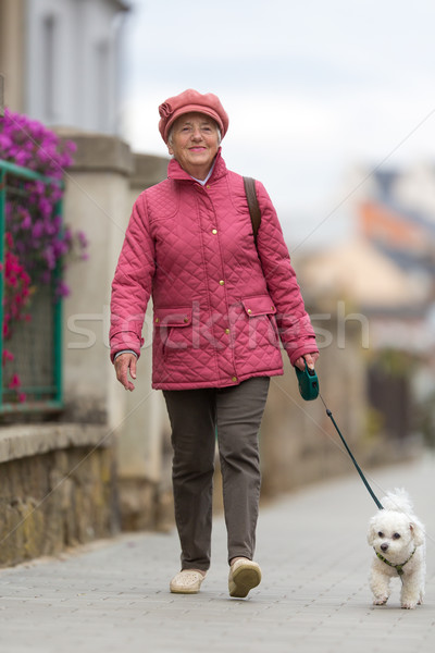 Stock photo: Senior woman walking her little dog on a city street