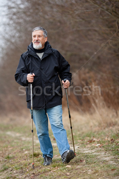 Senior man nordic walking Stock photo © lightpoet