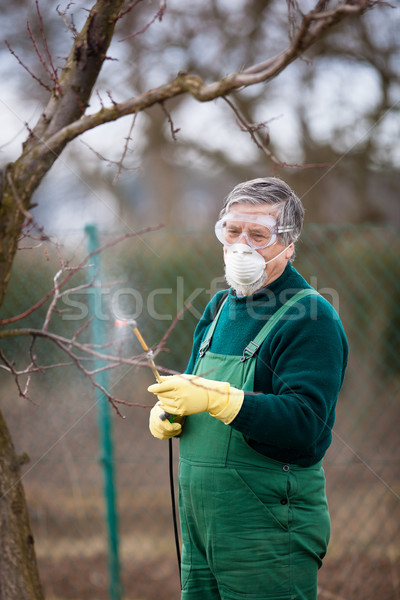 Using chemicals in the garden/orchard Stock photo © lightpoet