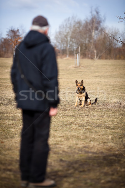 Mester engedelmes juhász kutya férfi egészség Stock fotó © lightpoet
