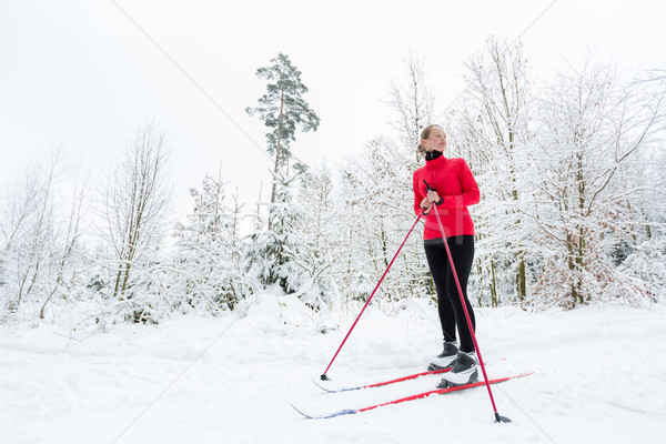 Cross-country skiing: young woman cross-country skiing  Stock photo © lightpoet