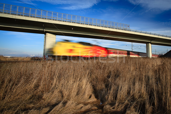 Gyors vonat híd nyár nap mozgás Stock fotó © lightpoet