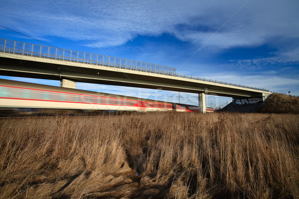 Veloce treno ponte estate giorno movimento Foto d'archivio © lightpoet