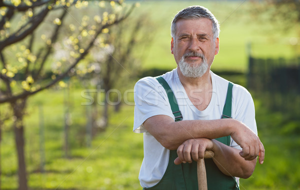 Portret starszy człowiek ogrodnictwo ogród kolor Zdjęcia stock © lightpoet