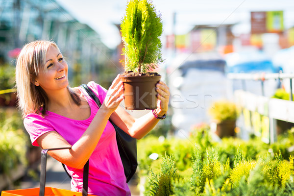 Kaufen Blumen Garten Zentrum Blume Stock foto © lightpoet