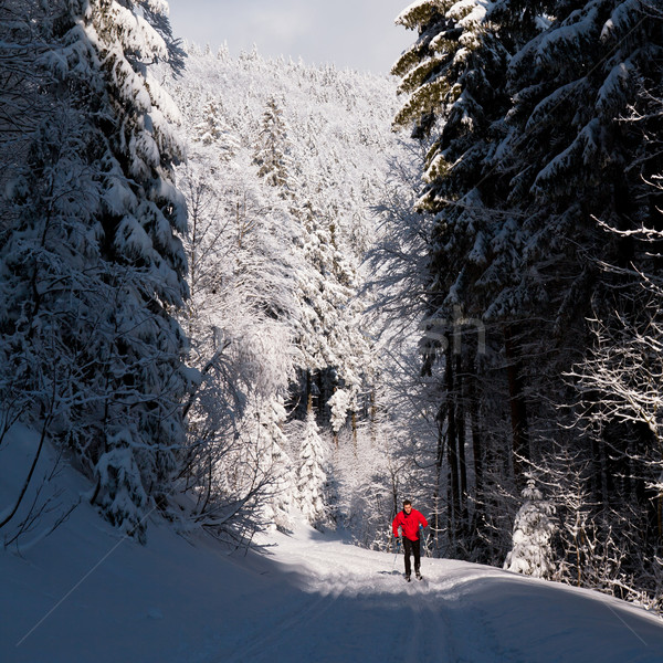 Cross-country skiing: young man cross-country skiing on a lovely Stock photo © lightpoet