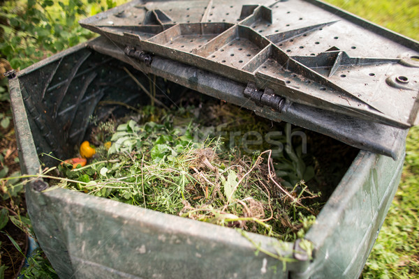 Stock photo: Plastic composter in a garden - filled with decaying organic mat