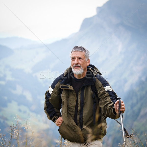 Stock photo: Active senior hiking in high mountains (Swiss Alps) 