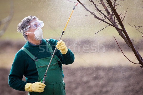 Chemikalia ogrodnik nawóz owoców wiosną Zdjęcia stock © lightpoet