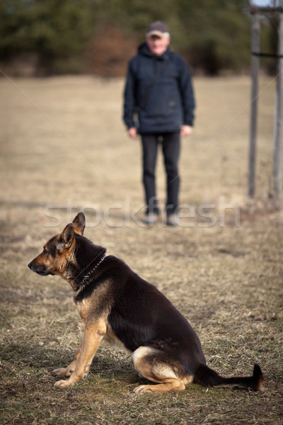 Stock photo: Master and his obedient (German Shepherd) dog